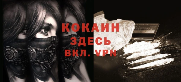 спайс Алзамай