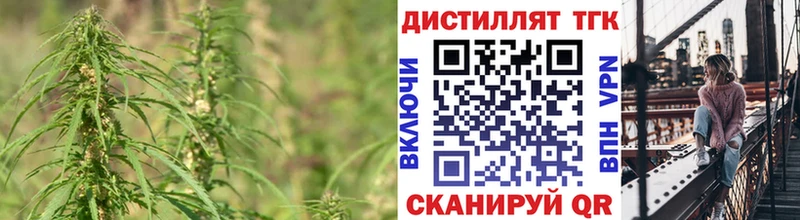 ТГК Wax  Горбатов 