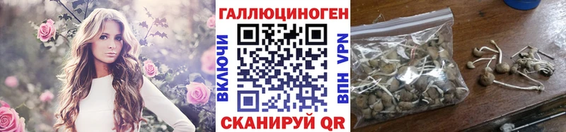 Галлюциногенные грибы MAGIC MUSHROOMS  Горбатов 